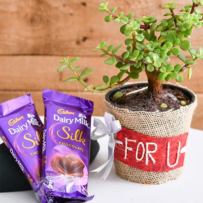 Send Chocolate Gifts Online