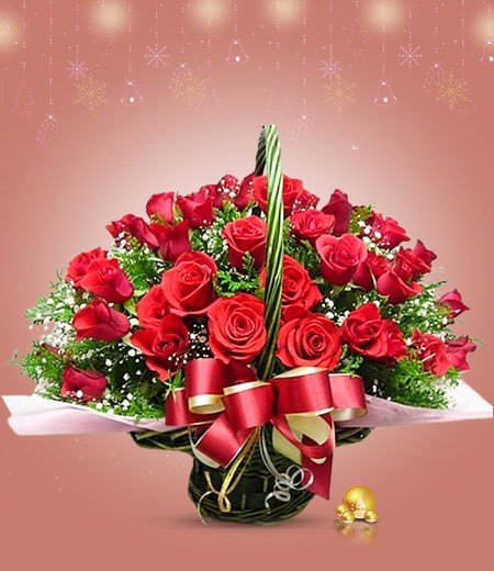 Christmas Flowers Online
